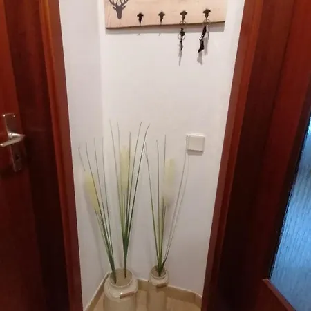 Ferienwohnung Wanderglück Braunlage Exterior foto
